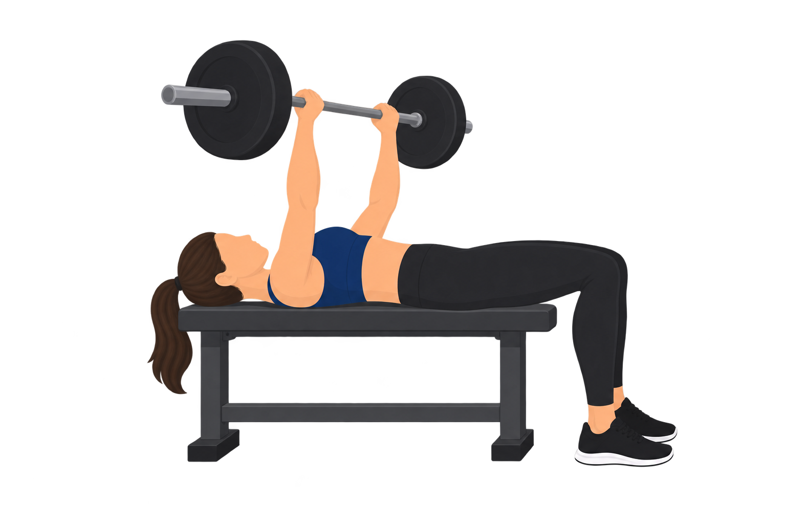Illustration of a correct bench press setup: a lifter lies flat on the bench with head, shoulders, and buttocks all in contact with the bench surface throughout the press.