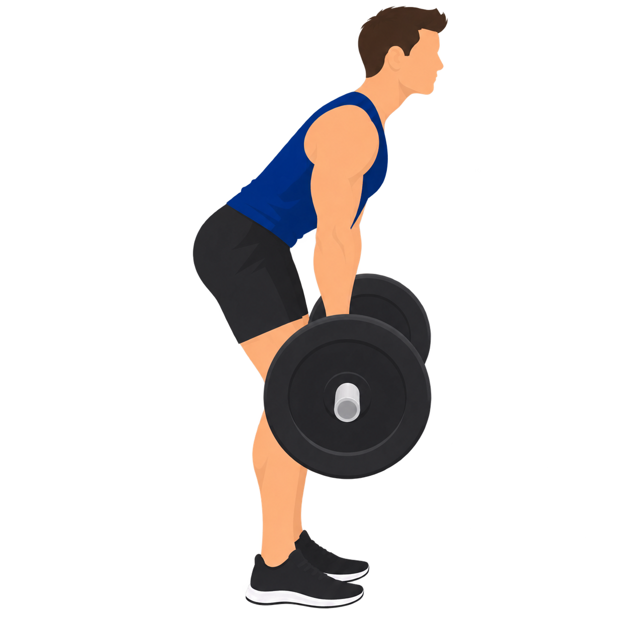 Illustration of a correct deadlift: the barbell travels up the lifter's legs without resting on or being supported by the thighs.