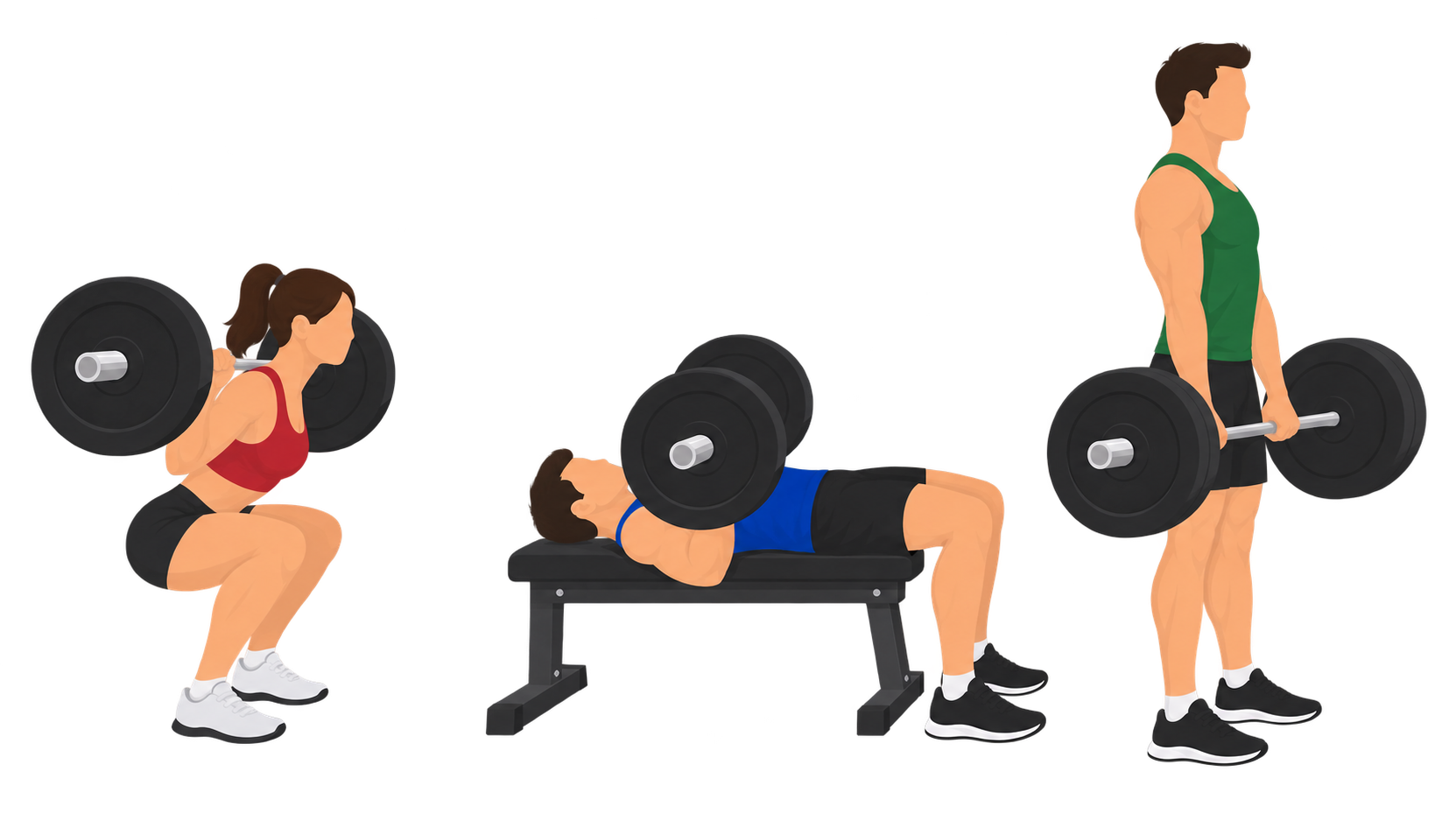 Illustration of the three competition powerlifts side by side: a squat at the bottom position, a bench press with the bar at the chest, and a deadlift at lockout, representing squat, bench, and deadlift as the three lifts that make up a powerlifting total.